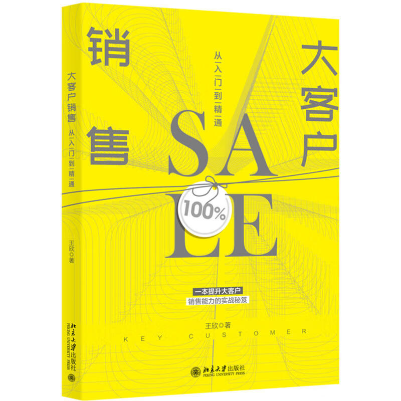正版现货 大客户销售从入门到精通 区域包邮 王欣 著北京大学出版社