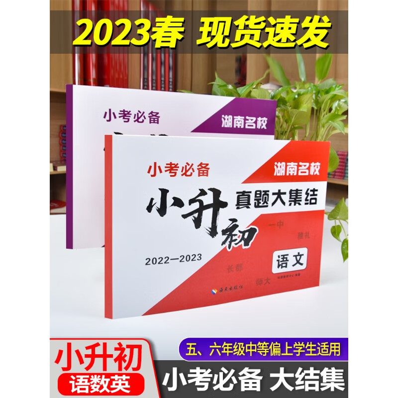 2023年小升初真题卷湖南名校语文数学人教版刷题小学毕业升学总复习模拟卷小学升初中练习册同步专项训练 (全套2本)语文+数学(赠英语试卷) 小学升初中