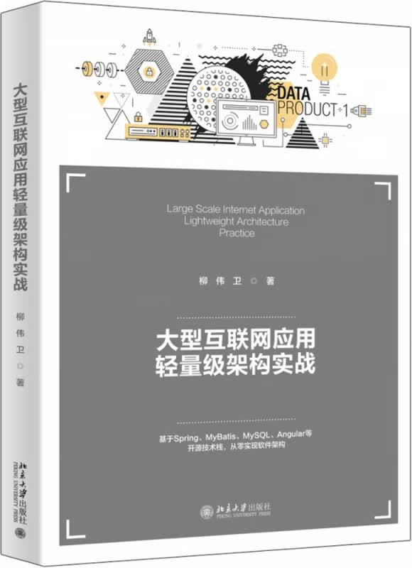 大型互联网应用轻量级架构实战