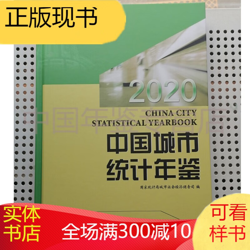 中国城市统计年鉴2020（电子版）