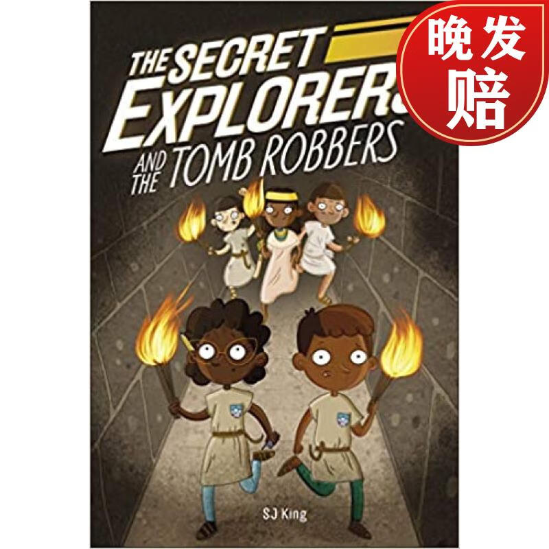the secret explorers and the tomb robbers