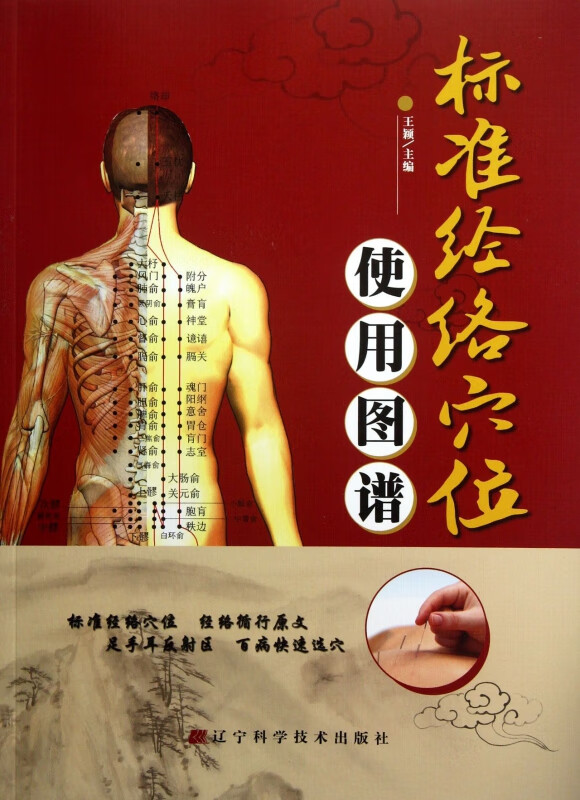 标准经络穴位使用图谱