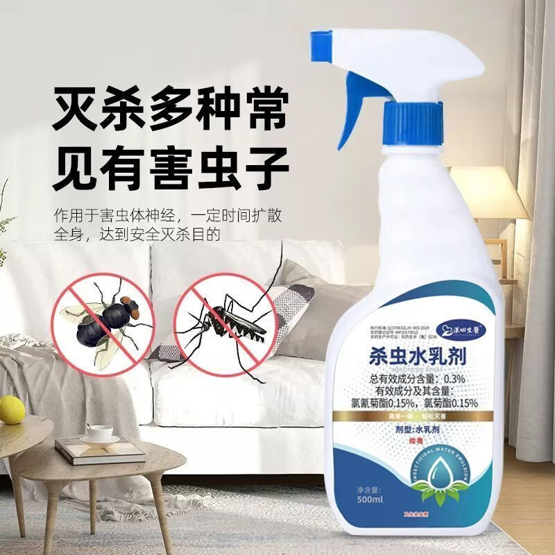 怎么查看旅行装备历史价格|旅行装备价格走势