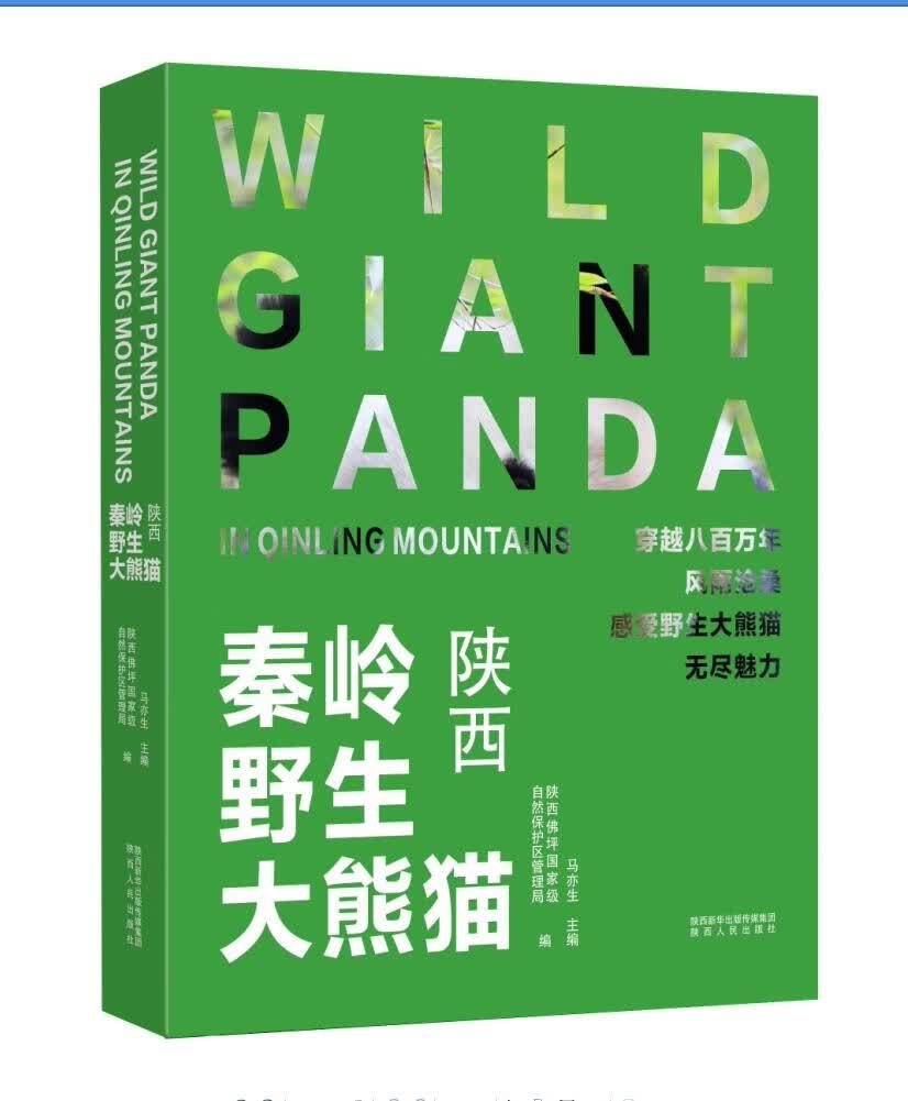 秦岭野生大熊猫·陕西