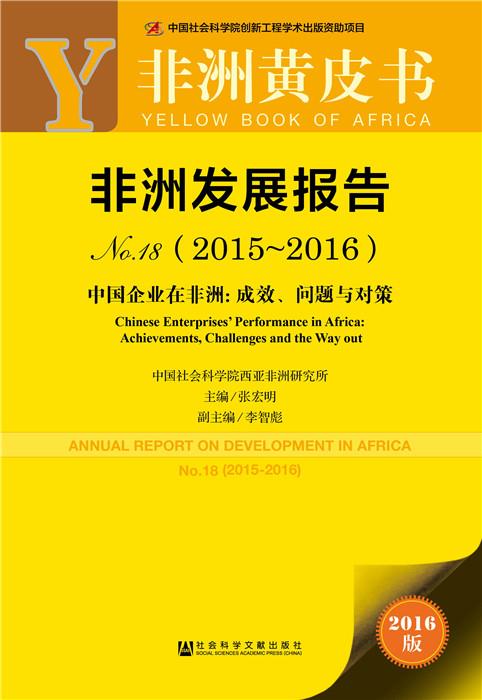 非洲发展报告2015--2016