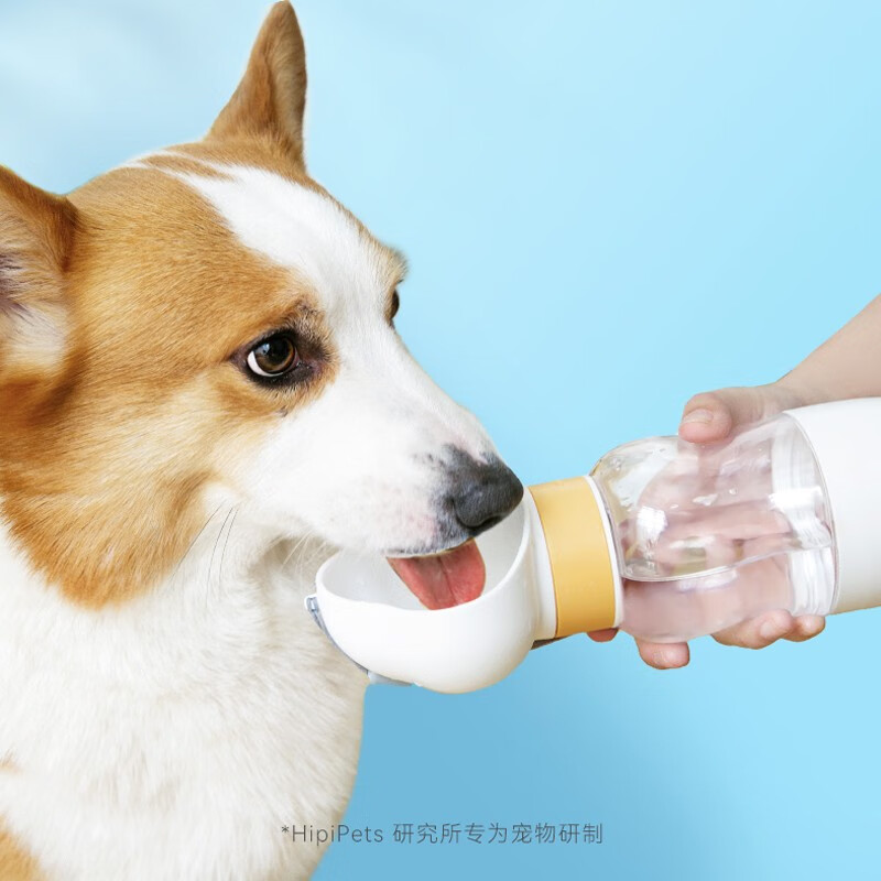 内幕剖析比较佩迪熊（Petenjoy）宠物水壶使用心得如何？谁了解