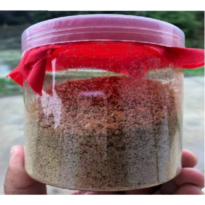 荣郁 黑水虻虫卵50克虫卵基地直供稳定货源黑水牤虫卵 黑水虻虫卵50克