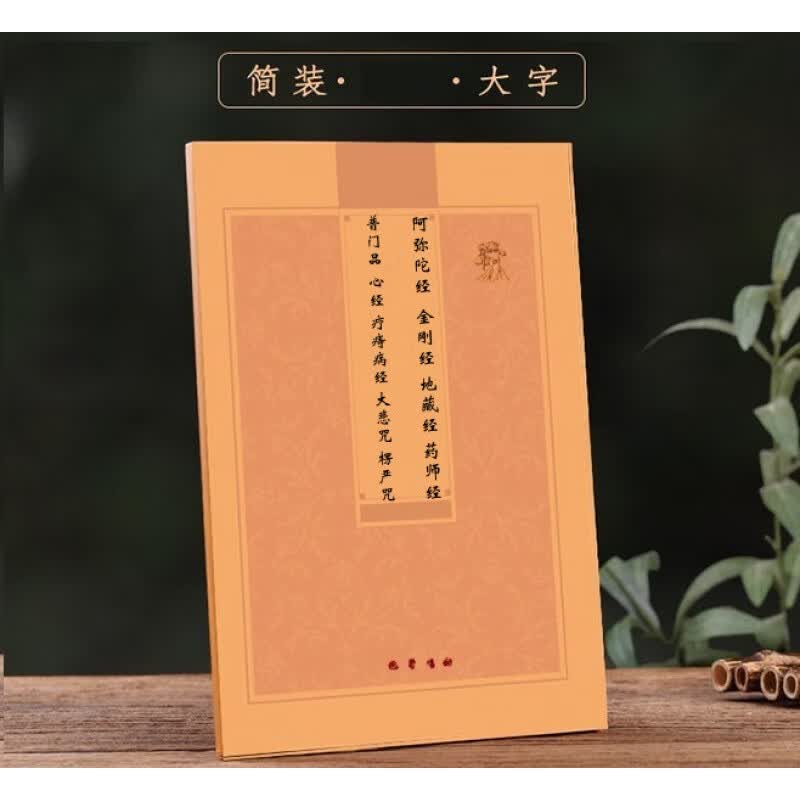阿弥陀经金刚经地藏经药师经普门品心经六经三咒简装16开横排拼音