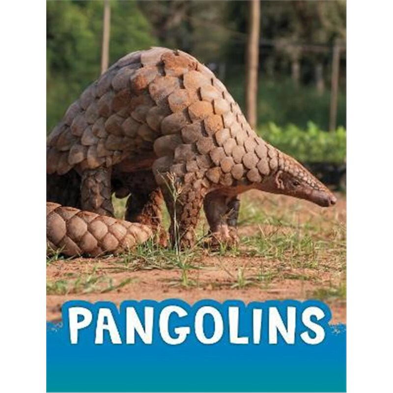 预订pangolins