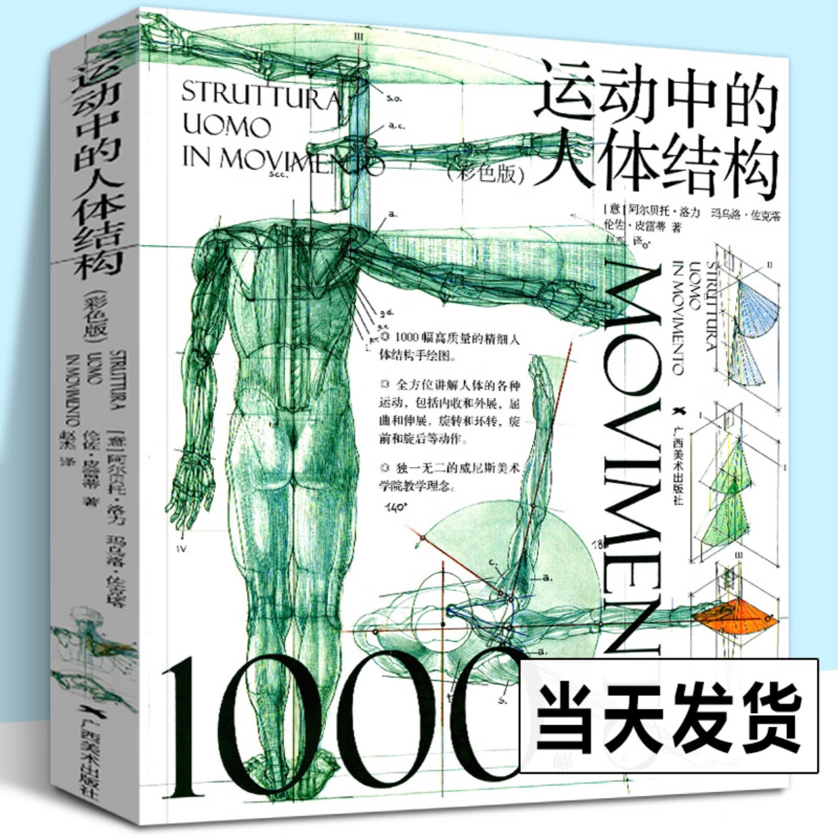 运动中的人体结构 彩色版 威尼斯美术学院 人体躯干骨骼结构绘画教学