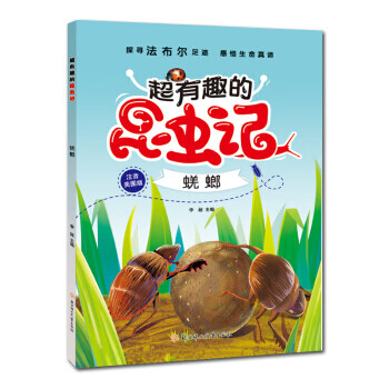 超有趣的昆虫记 蜣螂
