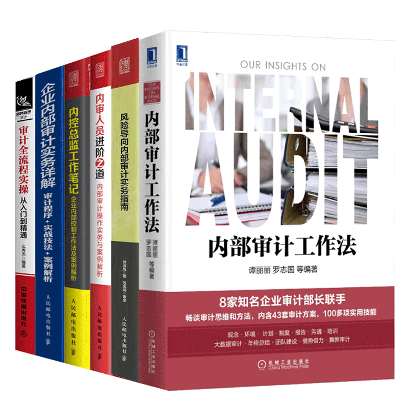 内控总监工作笔记+企业内部审计实务详解+审计全流程实操从入门到精通+内审人员进阶之道+风险导向内审计实务指南