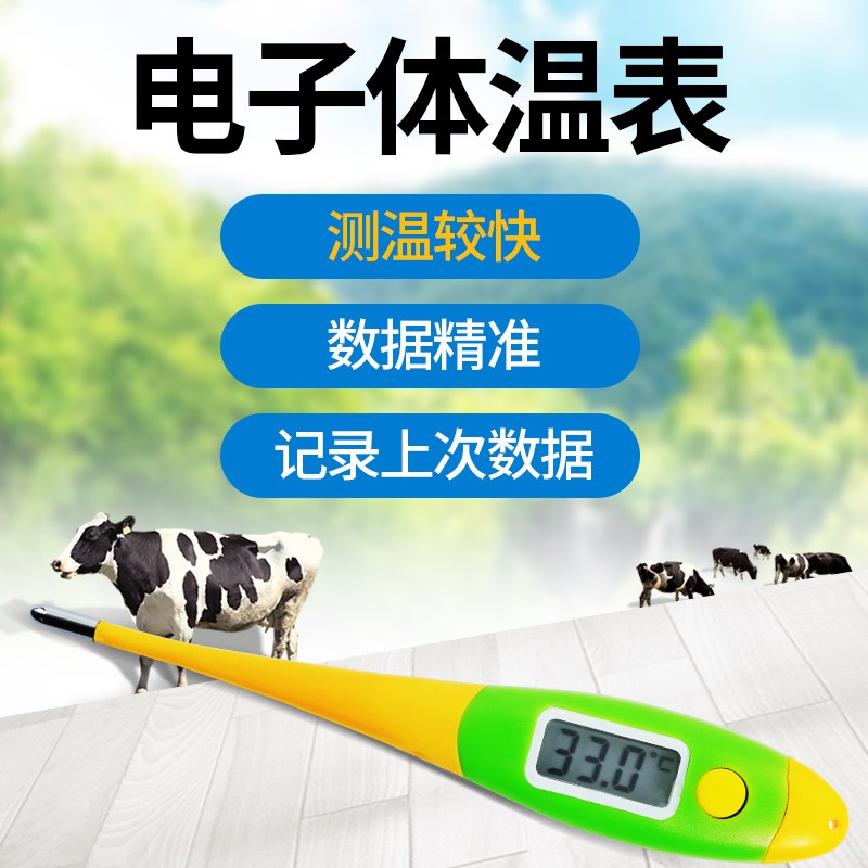 华畜 兽用体温表 养殖设备家用大棚猪场温湿度表干湿两用 软头电子温度计
