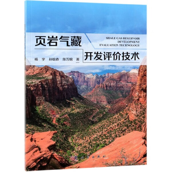 页岩气藏开发评价技术