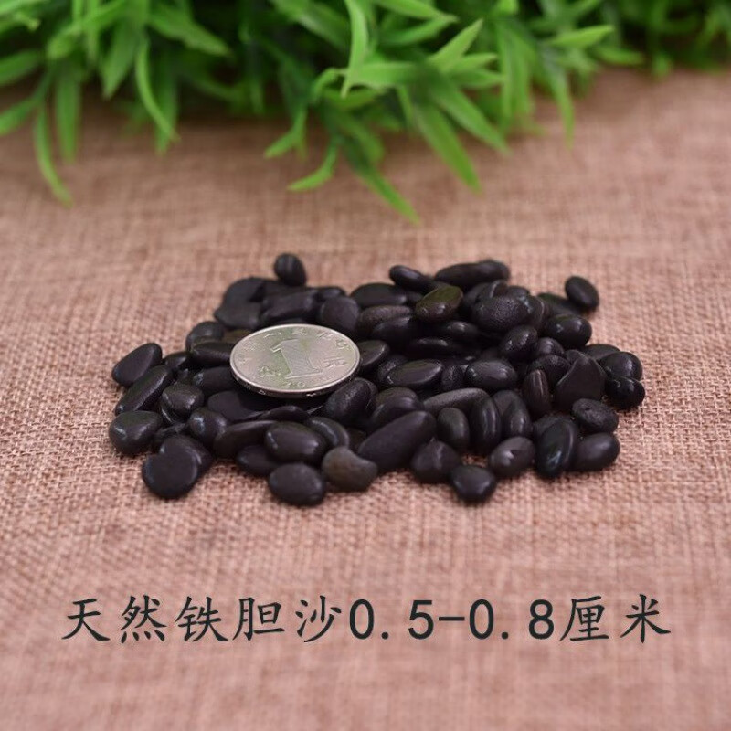 oein天然铁胆沙黑工砂水族鱼缸底沙装饰造景水草砂乌龟用石头石子 0.