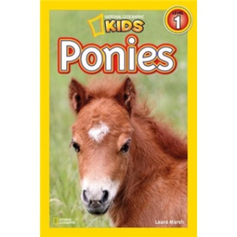 现货英文原版 国家地理儿童绘本 ponies 小马驹