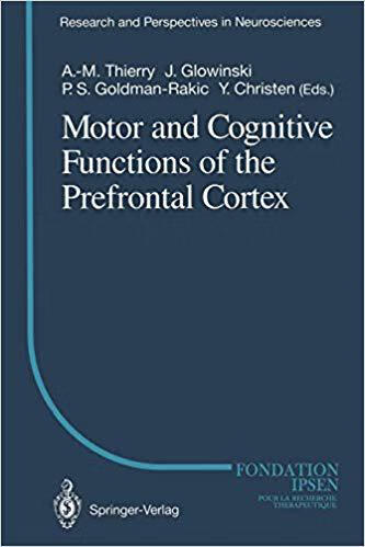 预订 motor and cognitive functions of the prefrontal cortex