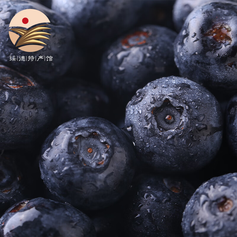 金百粟L25花香蓝莓云南蓝莓果新鲜时令应季水果花香蓝莓礼盒送 甄选单果18mm+送礼精选 精选蓝莓100g/6盒
