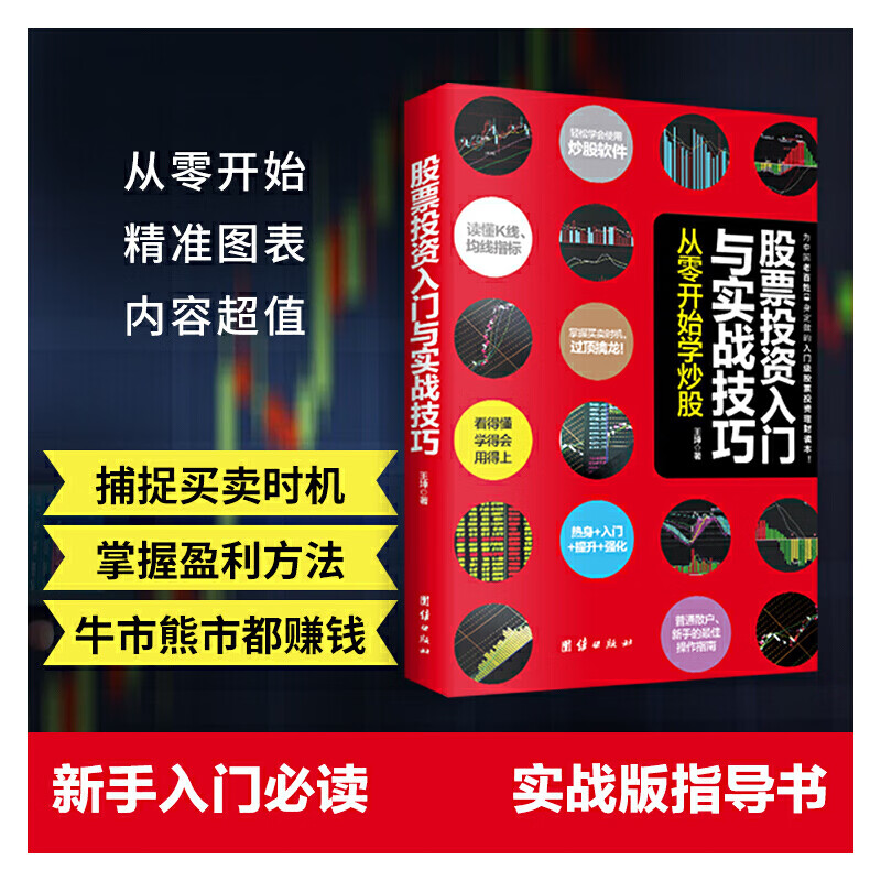 股票投资入门与实战技巧(从零开始学炒股)