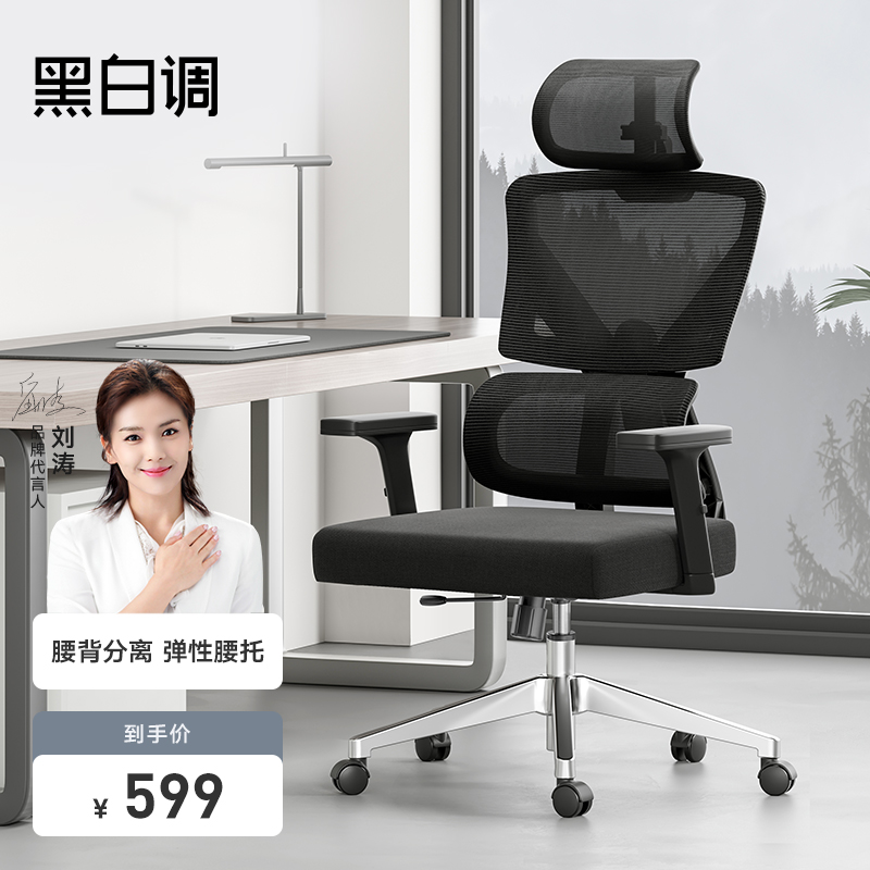 神解读【黑白调（Hbada）E201人体工学椅】怎么样？性价比高吗？看看质量评测