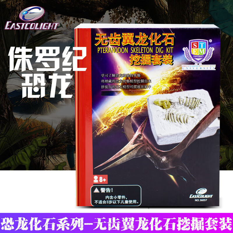怡高科教恐龙化石考古挖掘无齿翼龙手工标本模型男孩女孩生日六一礼物