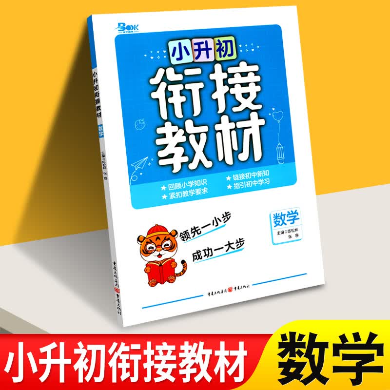 小升初数学专项训练2023小升初衔接教材数学知识大集结全国通用版六年级数学总复习资料小学升初中衔接教材辅
