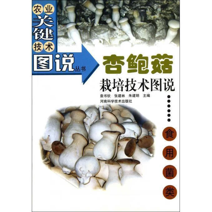 杏鲍菇栽培技术图说
