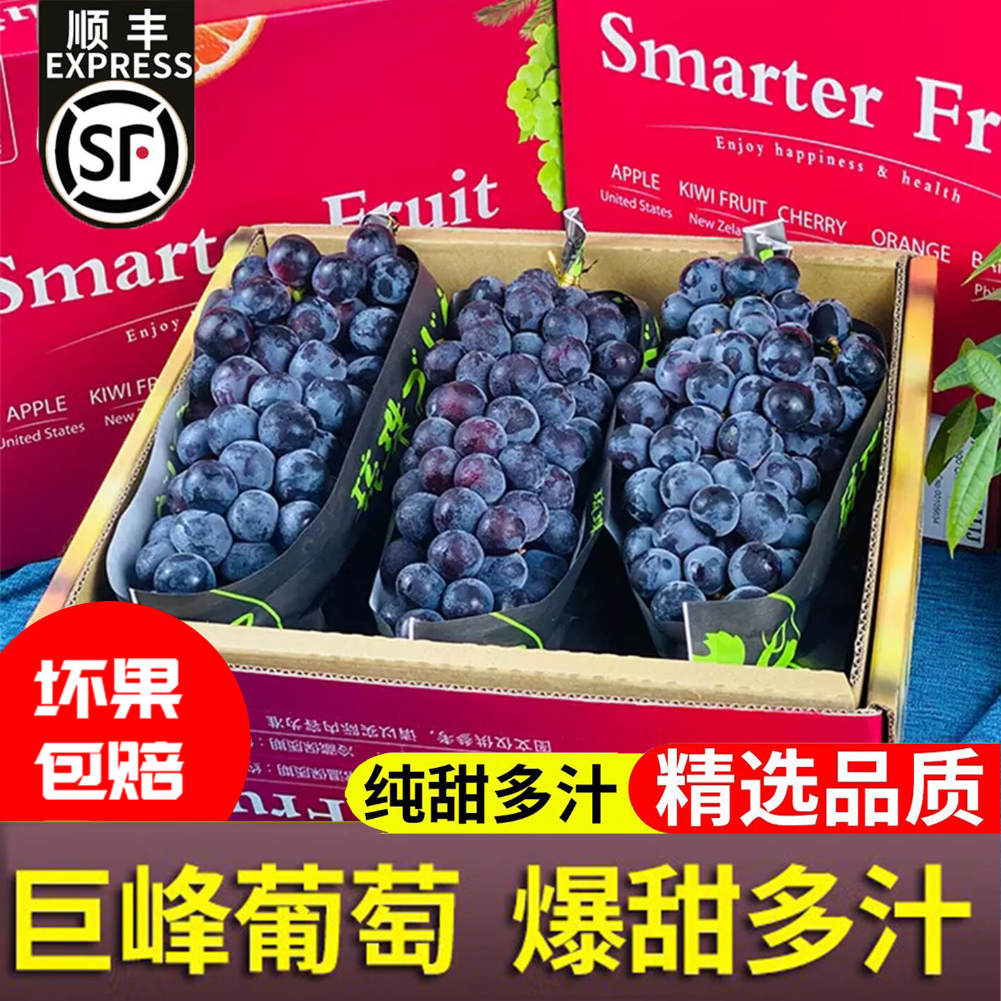 巨峰葡萄 东北辽峰葡萄当季新鲜水果礼盒 2斤精选装【简装】