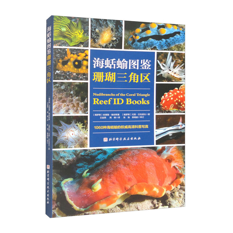 海蛞蝓图鉴：珊瑚三角区