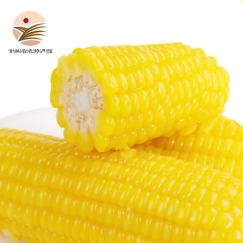 食材迹 东北吉林甜糯玉米棒新鲜黏玉米粒非转基因代餐粗粮鲜食玉米 黄糯玉米 10支（单支200g）怎么看?
