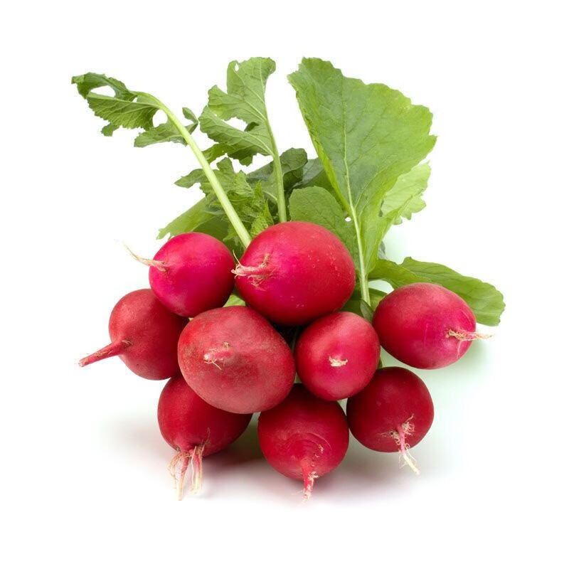 青尊园樱桃萝卜新鲜水果红皮甜脆生吃东北特产蔬菜蘸酱菜小萝卜带叶 4