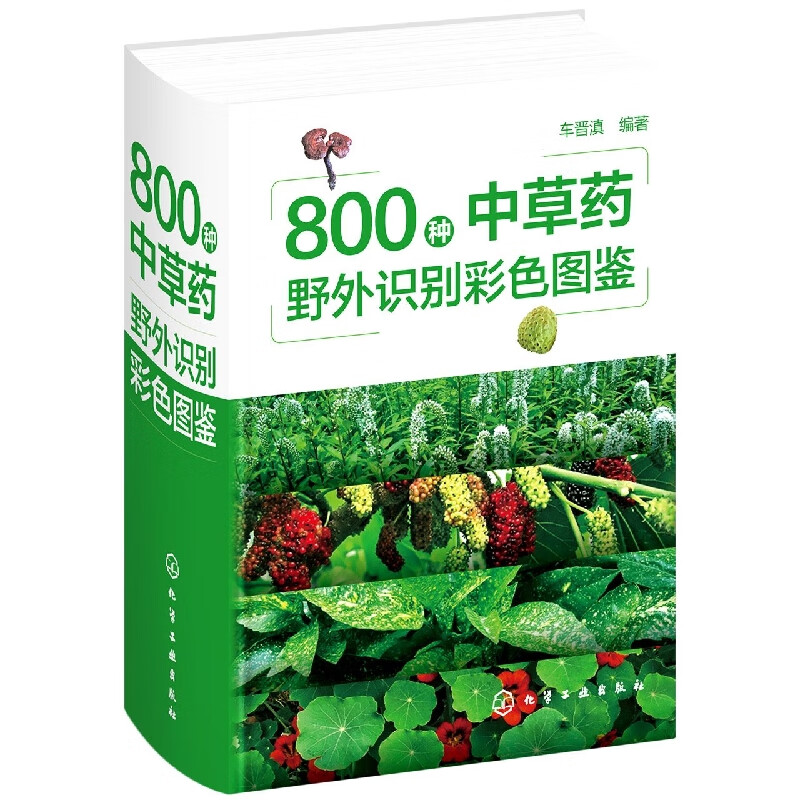 800种中草药野外识别彩色图鉴
