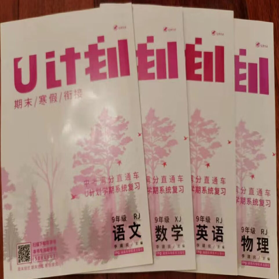 U计划期末寒假作业衔接数学人教版RJ 九年级（数学XJtu）