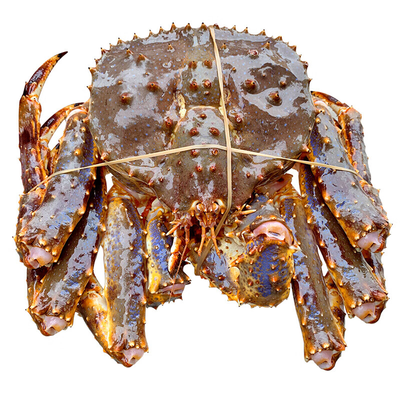 虎钢馋鲜冻蟹海鲜水产螃蟹帝皇蟹6斤1只