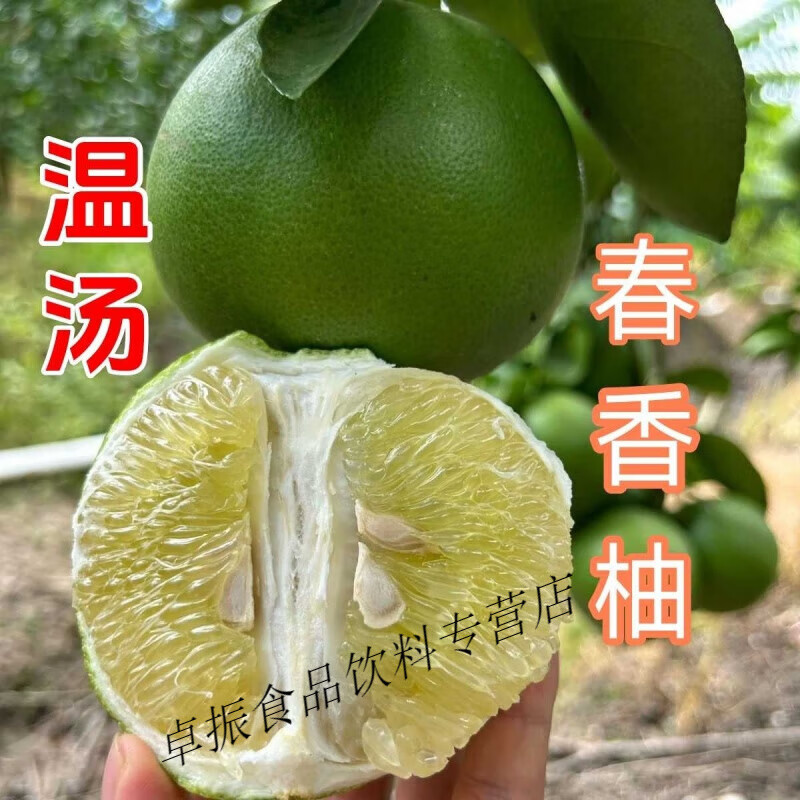 江西柚子溫湯春香柚正宗青皮柚青柚純甜新鮮水果整箱 凈果19斤左右 溫湯春香柚