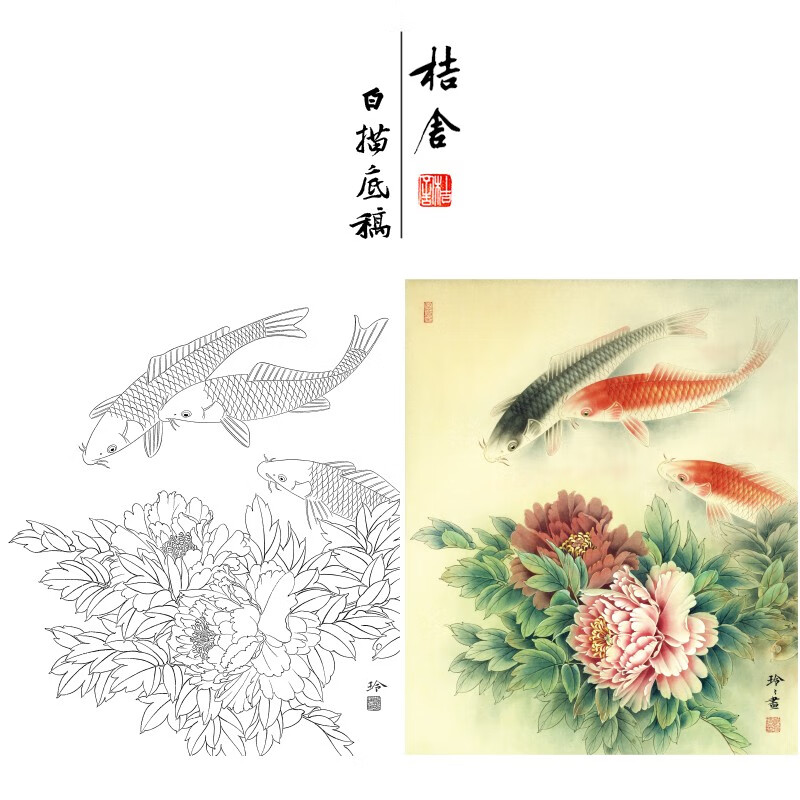牡丹鲤鱼小品原作大小38*46厘米花鸟线稿带a3步骤图及用色说明zl41