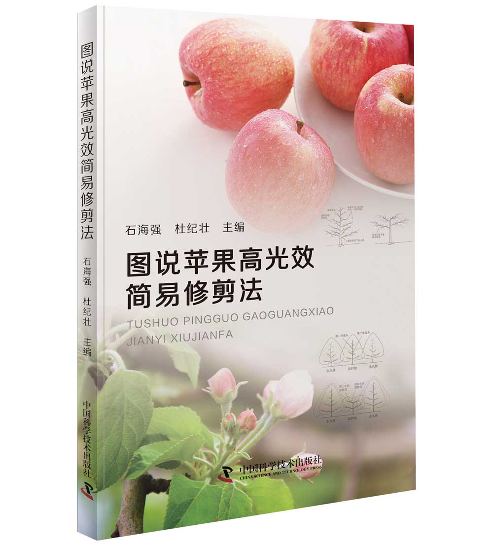 图说苹果高光效简易修剪法