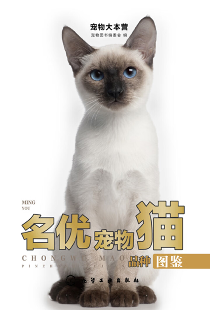 名优宠物猫品种图鉴