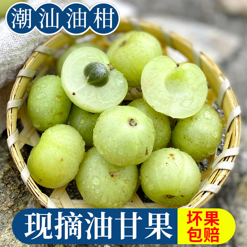 鲜木油甘果油柑果新鲜水果潮汕余甘果鲜果牛甘子罕见的水果野果 1斤