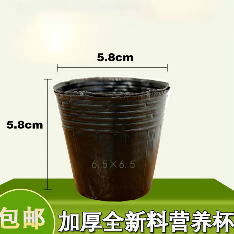 墨薰槿澜郜营养杯育苗杯营养钵育苗盆塑料加厚一次性农用营养袋育苗袋