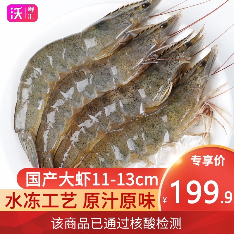 【已核酸检测】沃鲜汇 新鲜国产大虾鲜活超大青虾基围虾鲜虾海 冷冻