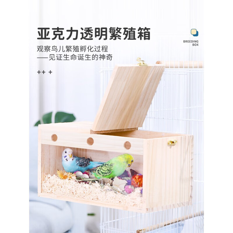 威毕透明繁殖箱鹦鹉玄凤虎皮牡丹用鸟具用品内挂专用鸟窝鸟巢鸟房巢箱