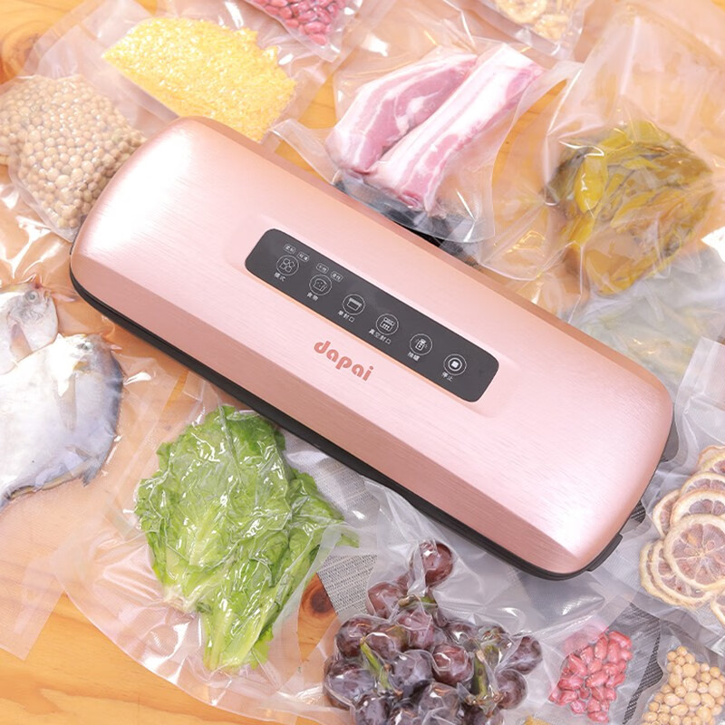 达派（dapai）德国真空封口机食品保鲜机真空机包装机家用塑封机抽打包机商用干湿两抽 DS3600(下单享真空袋)钢银色