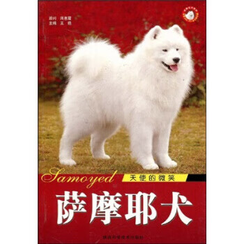 天使的微笑:萨摩耶犬【稀缺图书,放心购买】