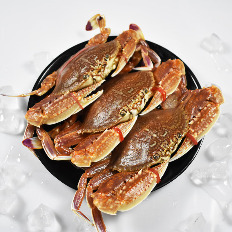 蝶岛船说 东山岛野生海捕螃蟹 扁蟹 梭子蟹 肉蟹 鲜活速冻 1000克/5-7