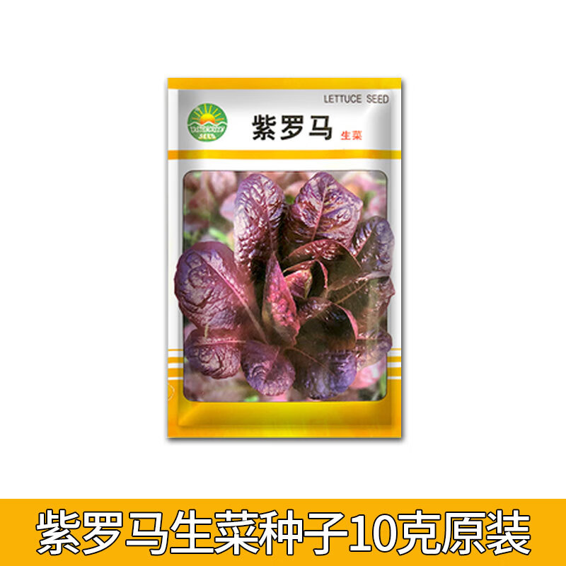 youzhong紫罗马生菜种子红色汉堡奶油咖啡菜种籽四季春季食用紫色生菜