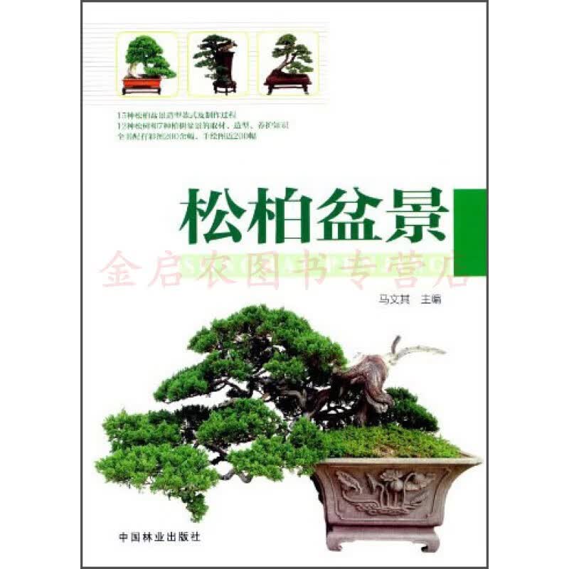 正版 松柏盆景 家居 书籍 中国林业出版社