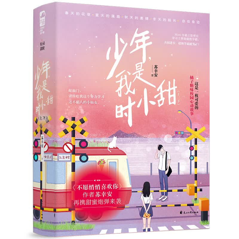 少年，我是时小甜（全二册）