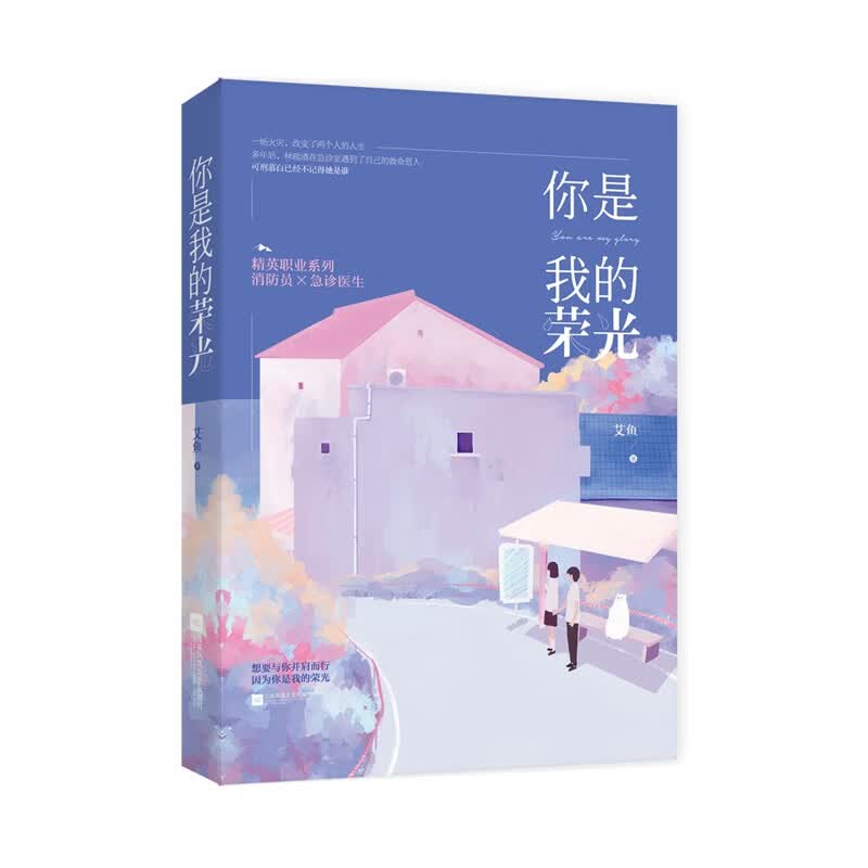 你是我的荣光/精英职业系列