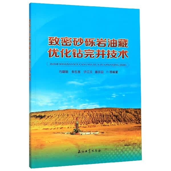 致密砂砾岩油藏优化钻完井技术